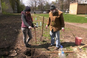 В Жовтих Водах почали висаджувати молоді берізки